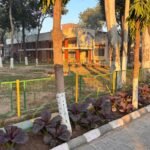 WhatsApp Image 2025-12-23 at 8.10.58 PM