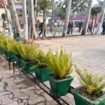 WhatsApp Image 2025-12-23 at 8.11.37 PM